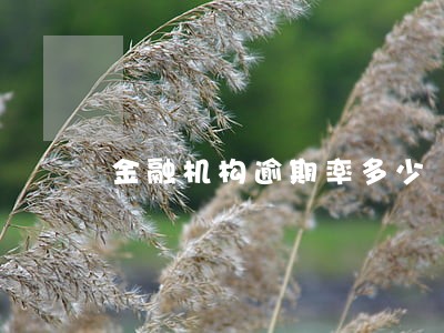 金融机构逾期率多少