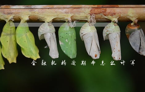 金融机构逾期率怎么计算