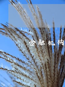 金融机构逾期记录能清除吗
