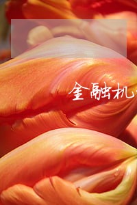 金融机构逾期贷款法律处置 金融机构逾期贷款法律处置