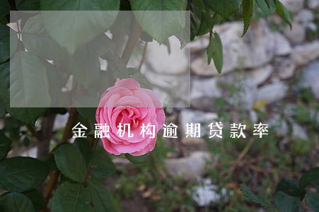 金融机构逾期贷款率 金融机构逾期贷款率