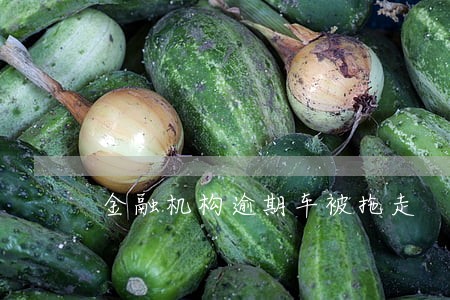 金融机构逾期车被拖走