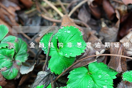 金融机构非恶意逾期证明