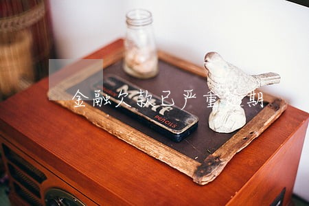 金融欠款已严重逾期