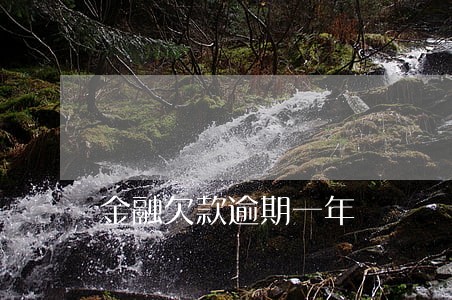 金融欠款逾期一年 金融欠款逾期一年