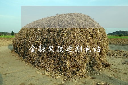 金融欠款逾期电话 金融欠款逾期电话