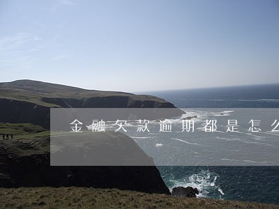 金融欠款逾期都是怎么挺过来的 金融欠款逾期都是怎么挺过来的