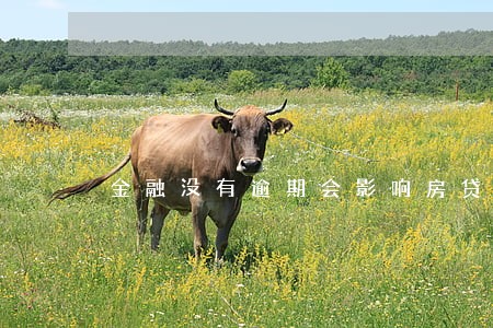 金融没有逾期会影响房贷吗 金融没有逾期会影响房贷吗