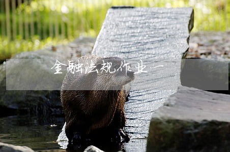 金融法规作业一 金融法规作业一