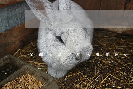 金融法规定私人融资多少是违法 金融法规定私人融资多少是违法