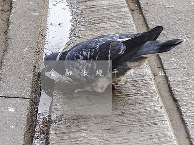 金融法规平时作业 金融法规平时作业
