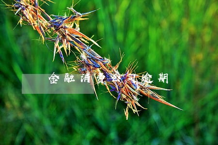 金融消费公司逾期 金融消费公司逾期