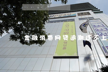 金融消费网贷逾期还不上款怎么办 金融消费网贷逾期还不上款怎么办