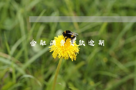 金融消费贷款逾期 金融消费贷款逾期