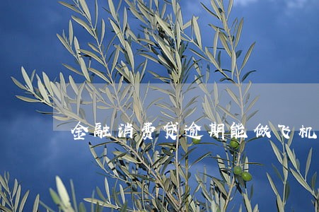 金融消费贷逾期能做飞机吗 金融消费贷逾期能做飞机吗