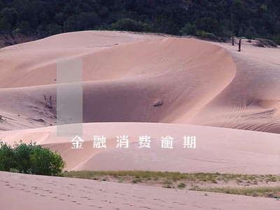 金融消费逾期 金融消费逾期