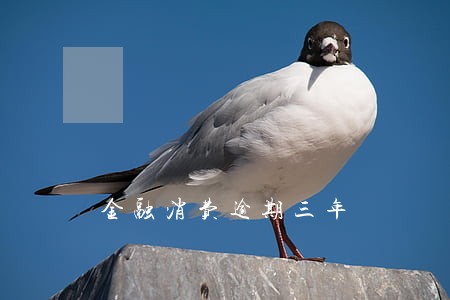 金融消费逾期三年 金融消费逾期三年