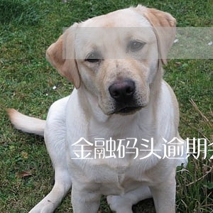 金融码头逾期会怎么样 金融码头逾期会怎么样