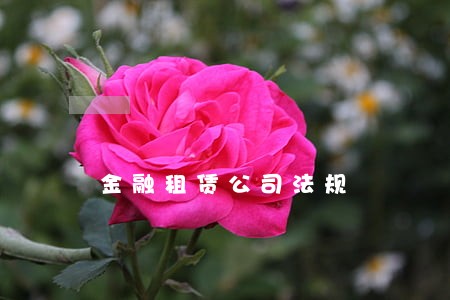 金融租赁公司法规 金融租赁公司法规