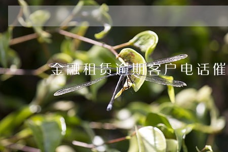 金融租赁逾期客户电话催收话术 金融租赁逾期客户电话催收话术