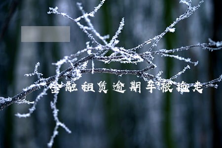 金融租赁逾期车被拖走 金融租赁逾期车被拖走