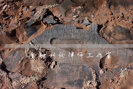 金融纠纷律师工作室 金融纠纷律师工作室