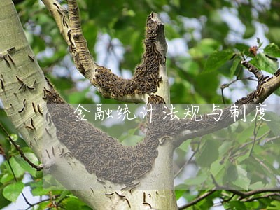金融统计法规与制度 金融统计法规与制度
