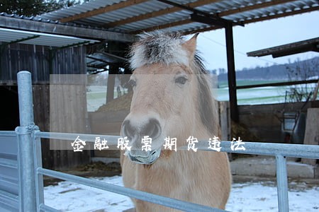 金融股票期货违法