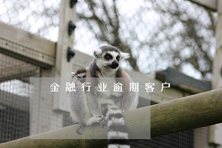 金融行业逾期客户 金融行业逾期客户