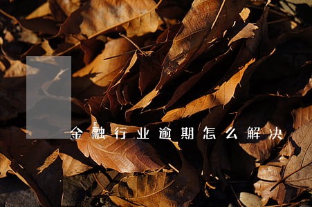 金融行业逾期怎么解决