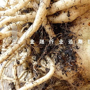 金融行业逾期提醒业务 金融行业逾期提醒业务