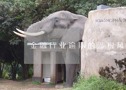 金融行业逾期的涉税风险 金融行业逾期的涉税风险