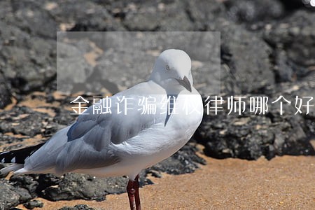 金融诈骗维权律师哪个好 金融诈骗维权律师哪个好