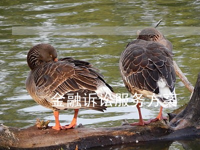 金融诉讼服务方案 金融诉讼服务方案