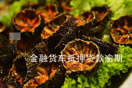 金融货车抵押贷款逾期 金融货车抵押贷款逾期