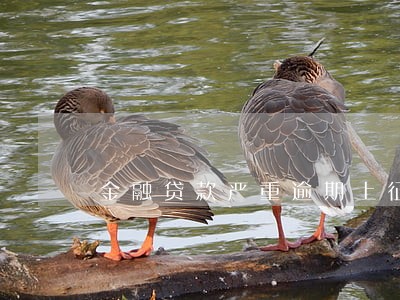 金融贷款严重逾期上征信 金融贷款严重逾期上征信