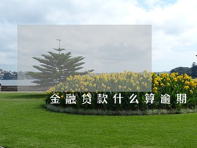 金融贷款什么算逾期 金融贷款什么算逾期