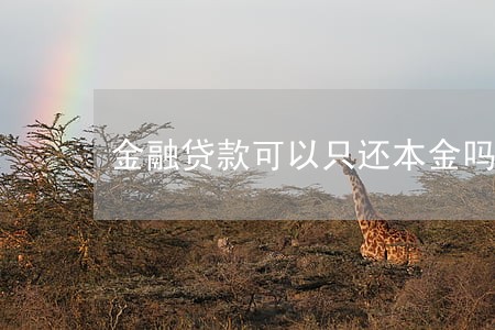 金融贷款可以只还本金吗 金融贷款可以只还本金吗