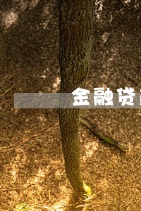 金融贷款征信逾期一次 金融贷款征信逾期一次