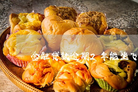 金融贷款逾期2年能坐飞机吗 金融贷款逾期2年能坐飞机吗
