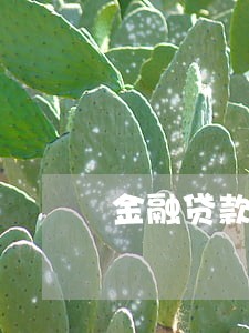 金融贷款逾期5个月 金融贷款逾期5个月