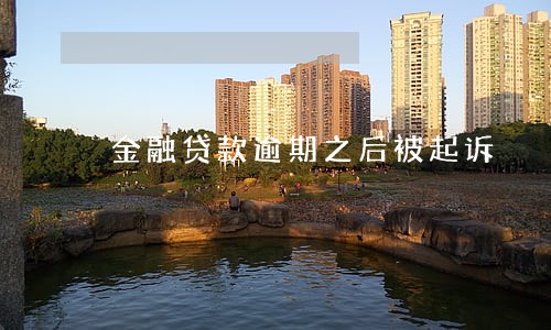 金融贷款逾期之后被起诉 金融贷款逾期之后被起诉