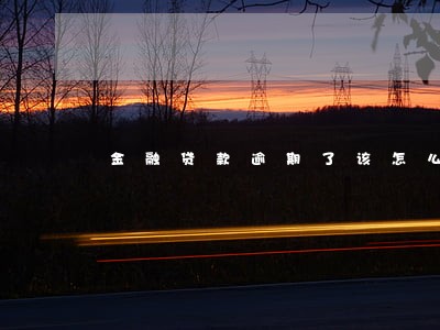 金融贷款逾期了该怎么还款 金融贷款逾期了该怎么还款