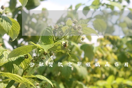 金融贷款逾期催收函作用 金融贷款逾期催收函作用
