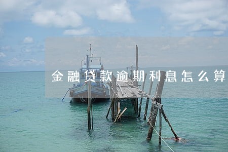 金融贷款逾期利息怎么算 金融贷款逾期利息怎么算