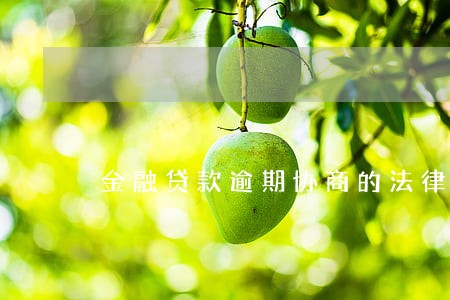 金融贷款逾期协商的法律规定 金融贷款逾期协商的法律规定