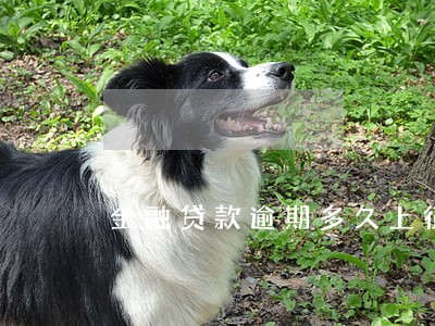 金融贷款逾期多久上征信 金融贷款逾期多久上征信