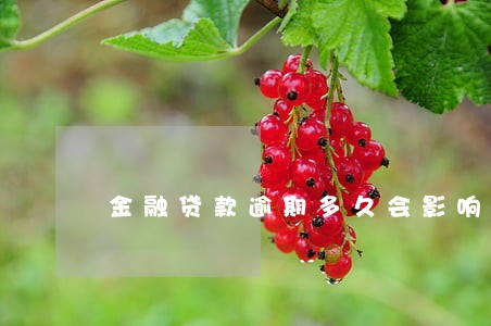 金融贷款逾期多久会影响征信 金融贷款逾期多久会影响征信