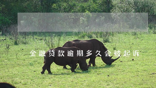金融贷款逾期多久会被起诉 金融贷款逾期多久会被起诉