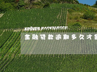 金融贷款逾期多久才是不良